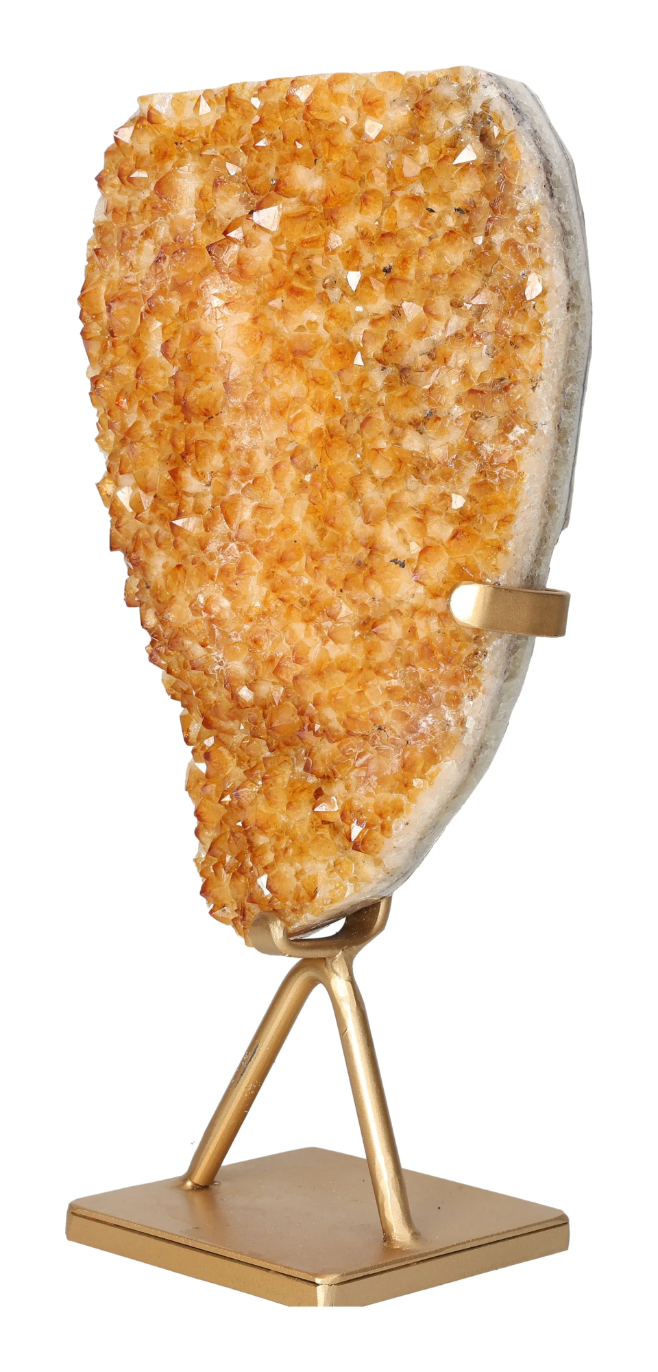 orbitvu|type:image2d