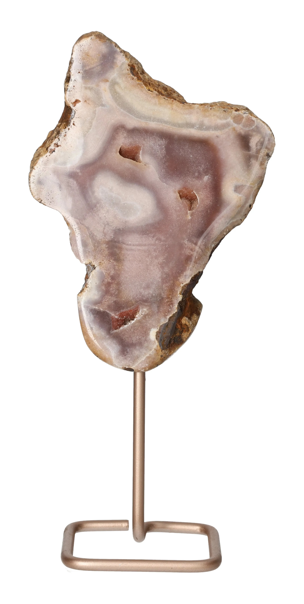 orbitvu|type:image2d