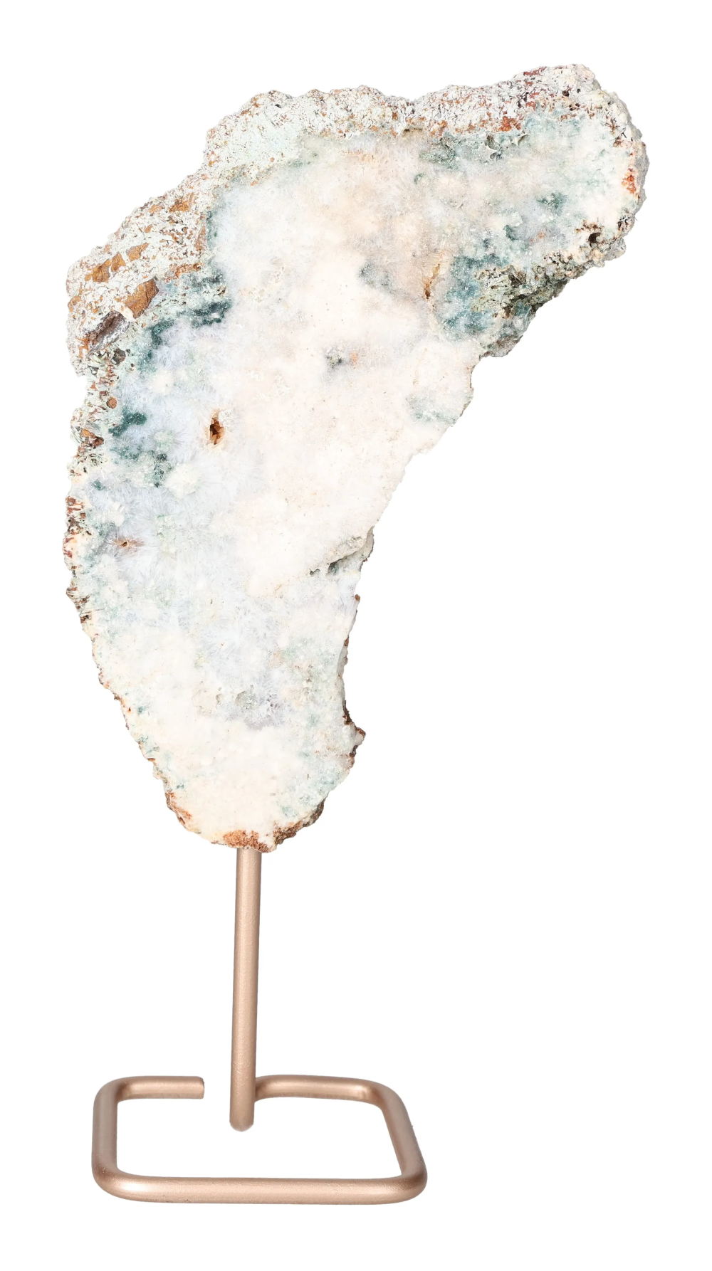 orbitvu|type:image2d