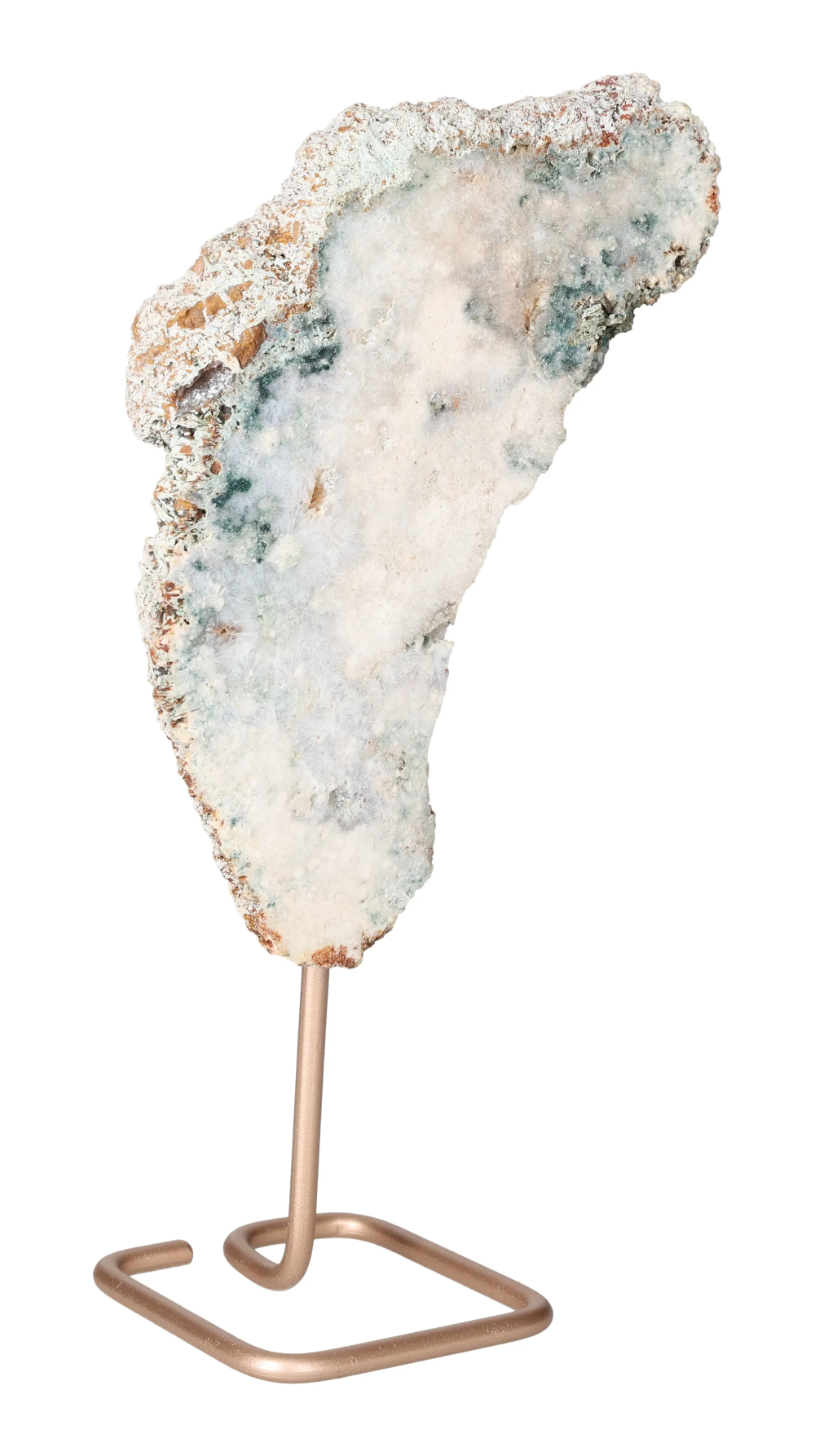 orbitvu|type:image2d