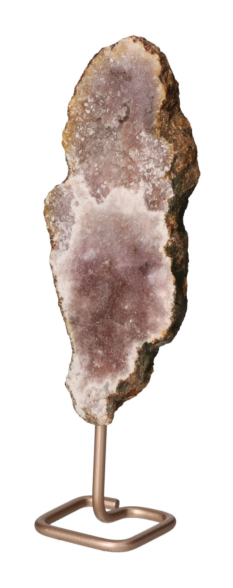 orbitvu|type:image2d