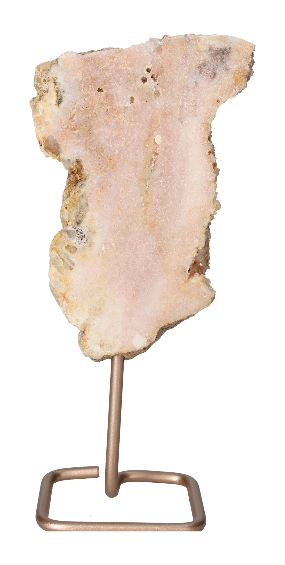 orbitvu|type:image2d