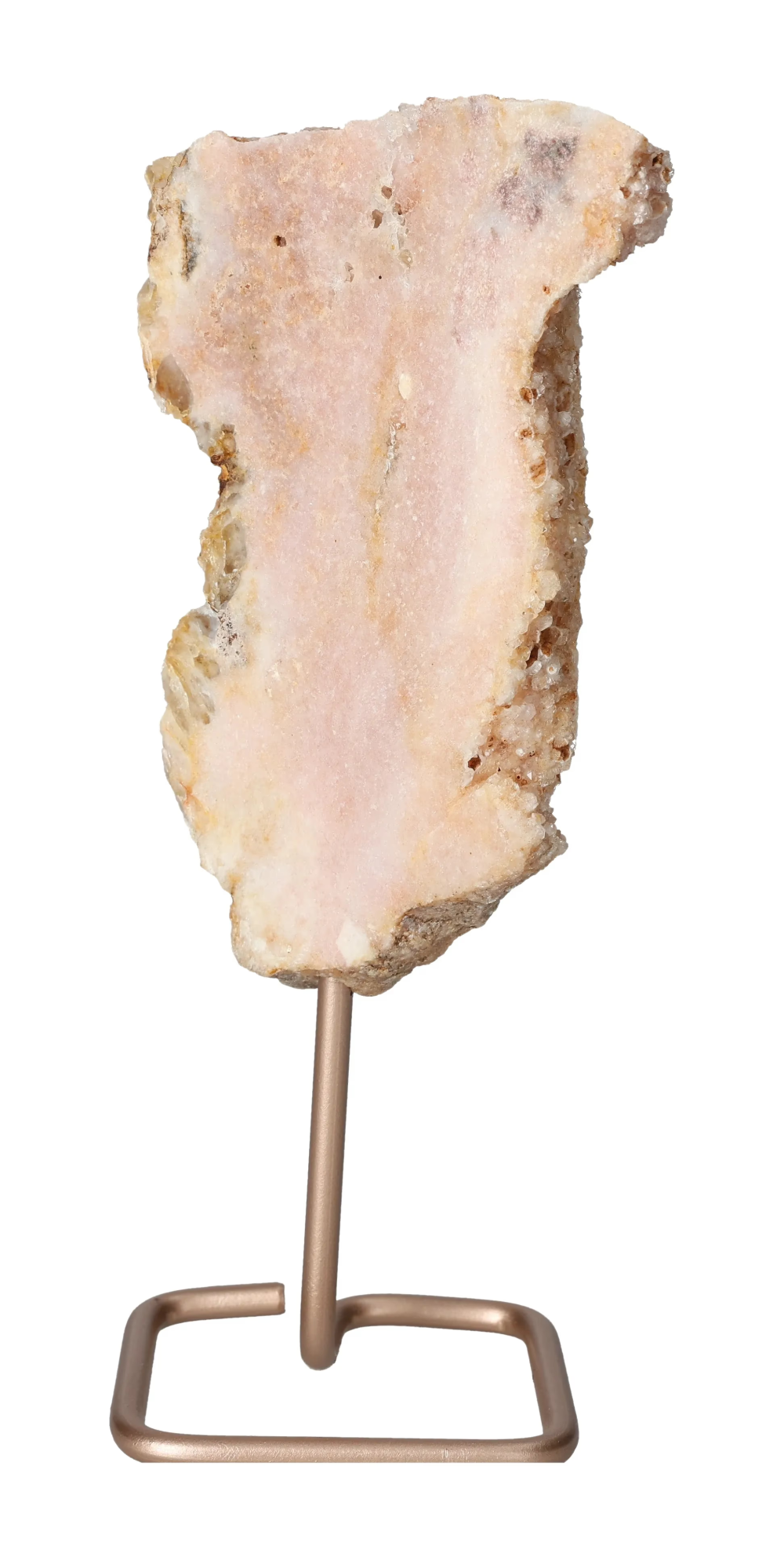 orbitvu|type:image2d