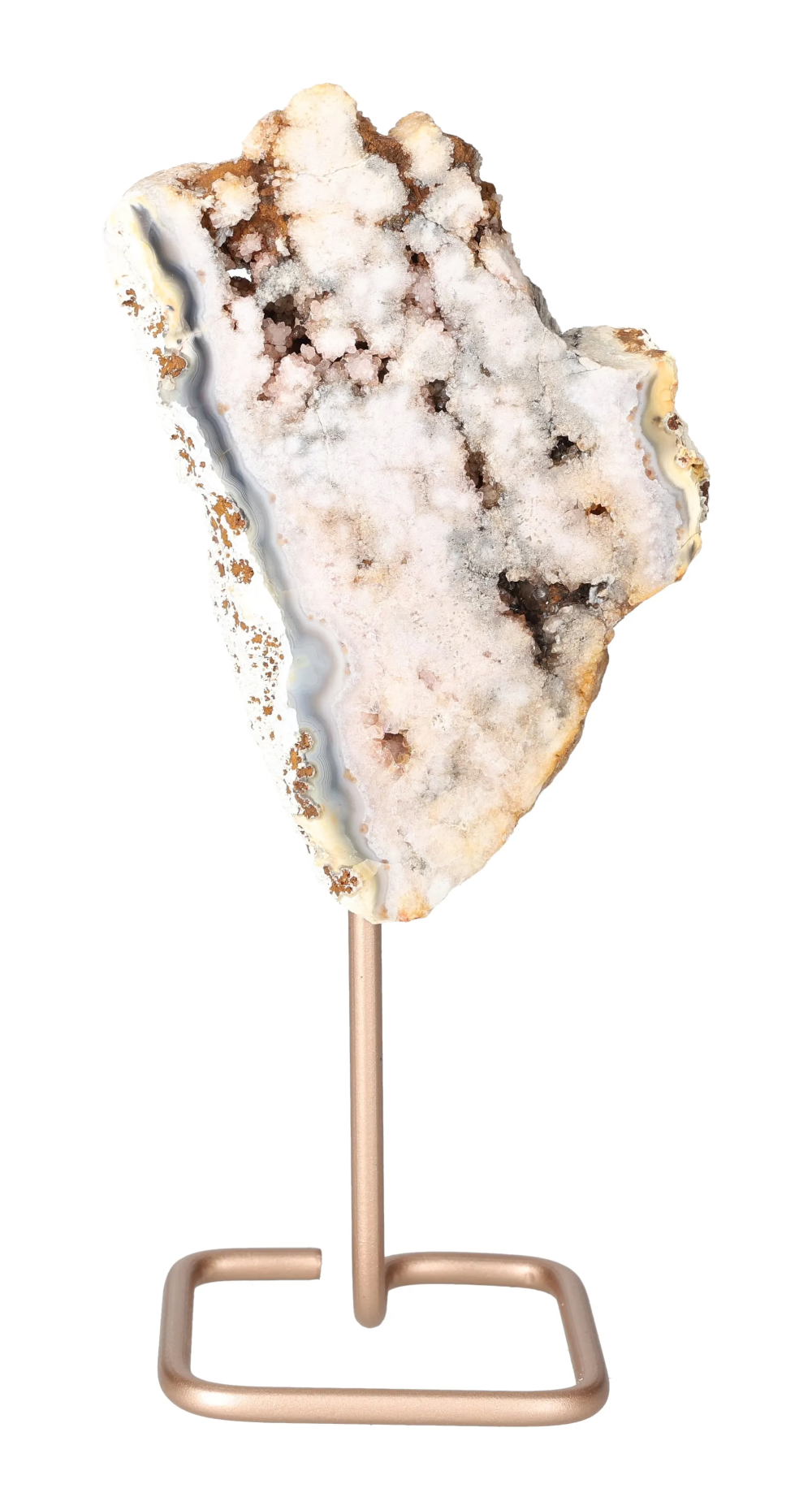 orbitvu|type:image2d