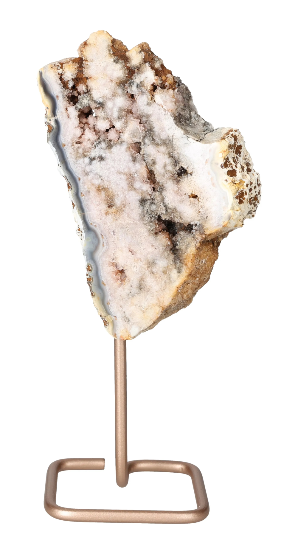 orbitvu|type:image2d