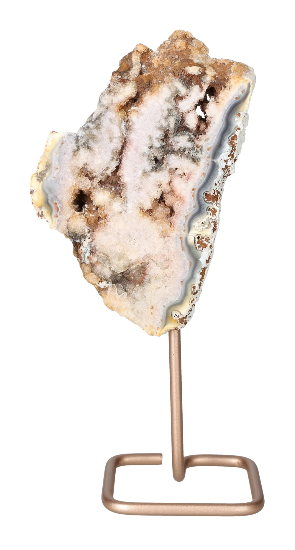 orbitvu|type:image2d