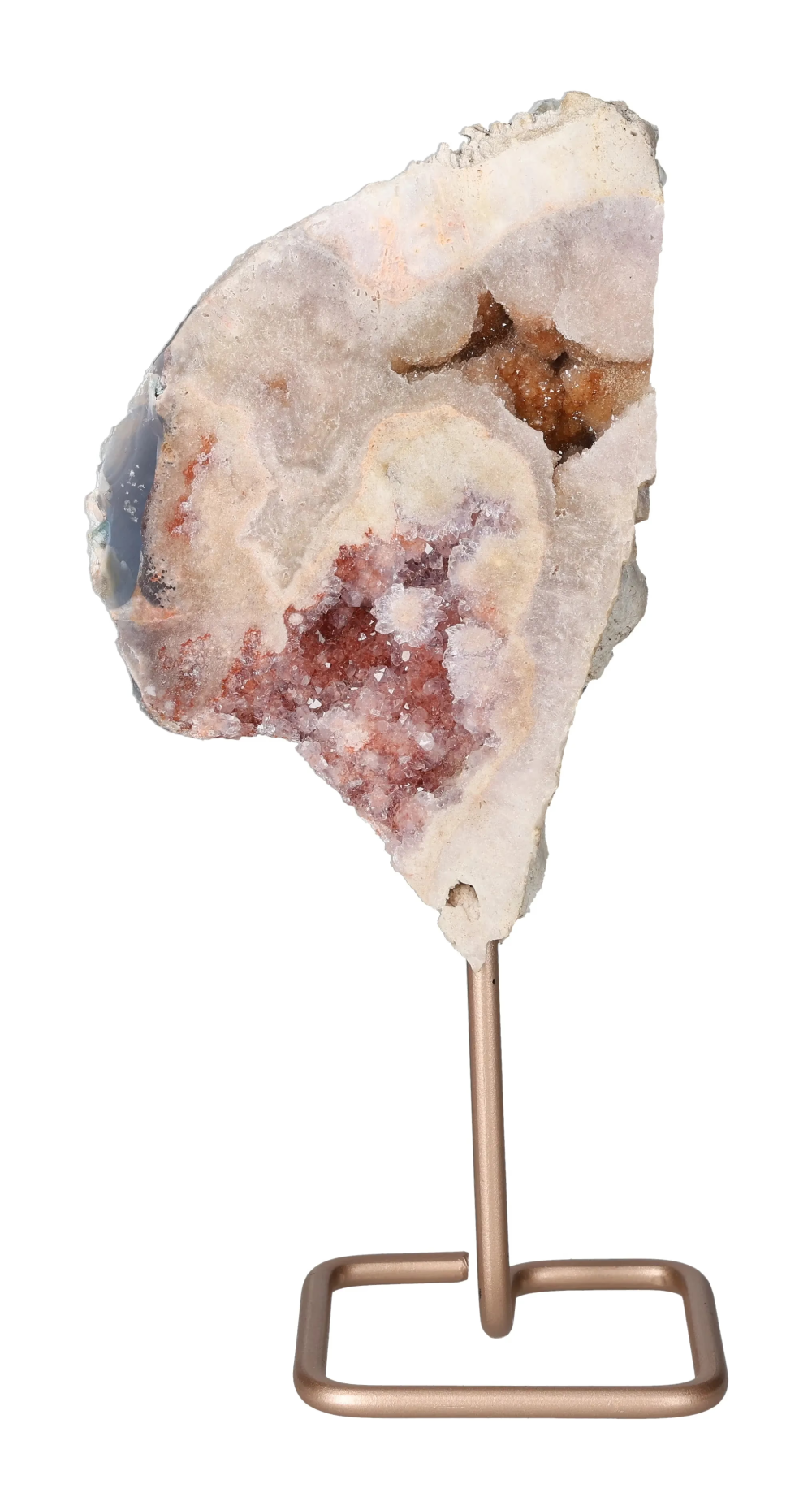 orbitvu|type:image2d