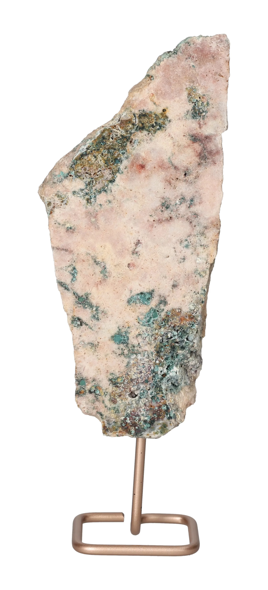 orbitvu|type:image2d