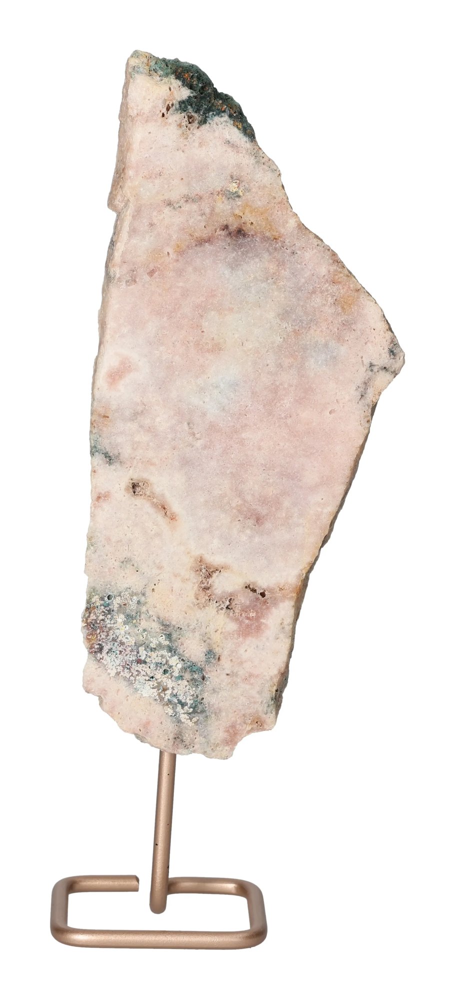 orbitvu|type:image2d