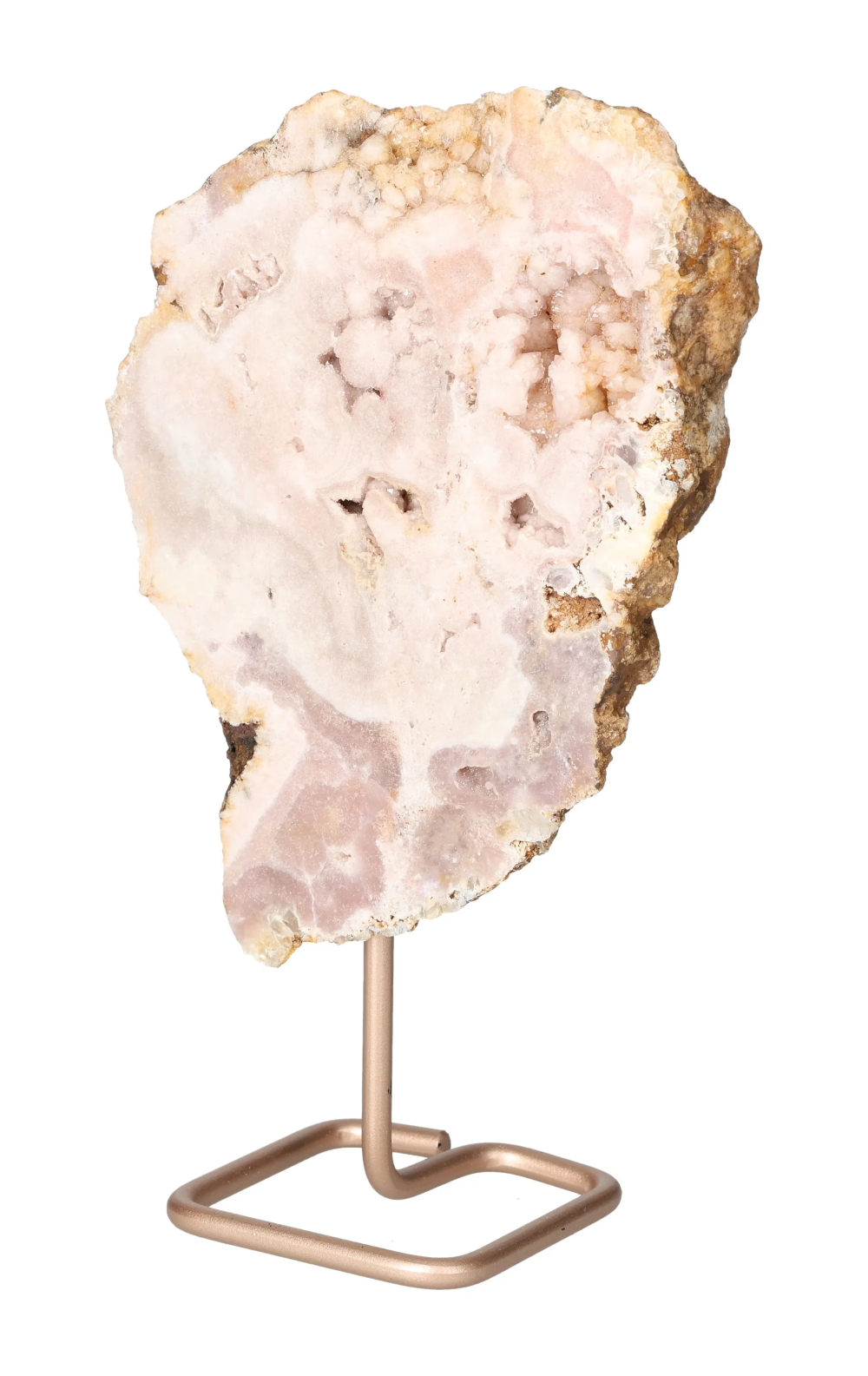 orbitvu|type:image2d