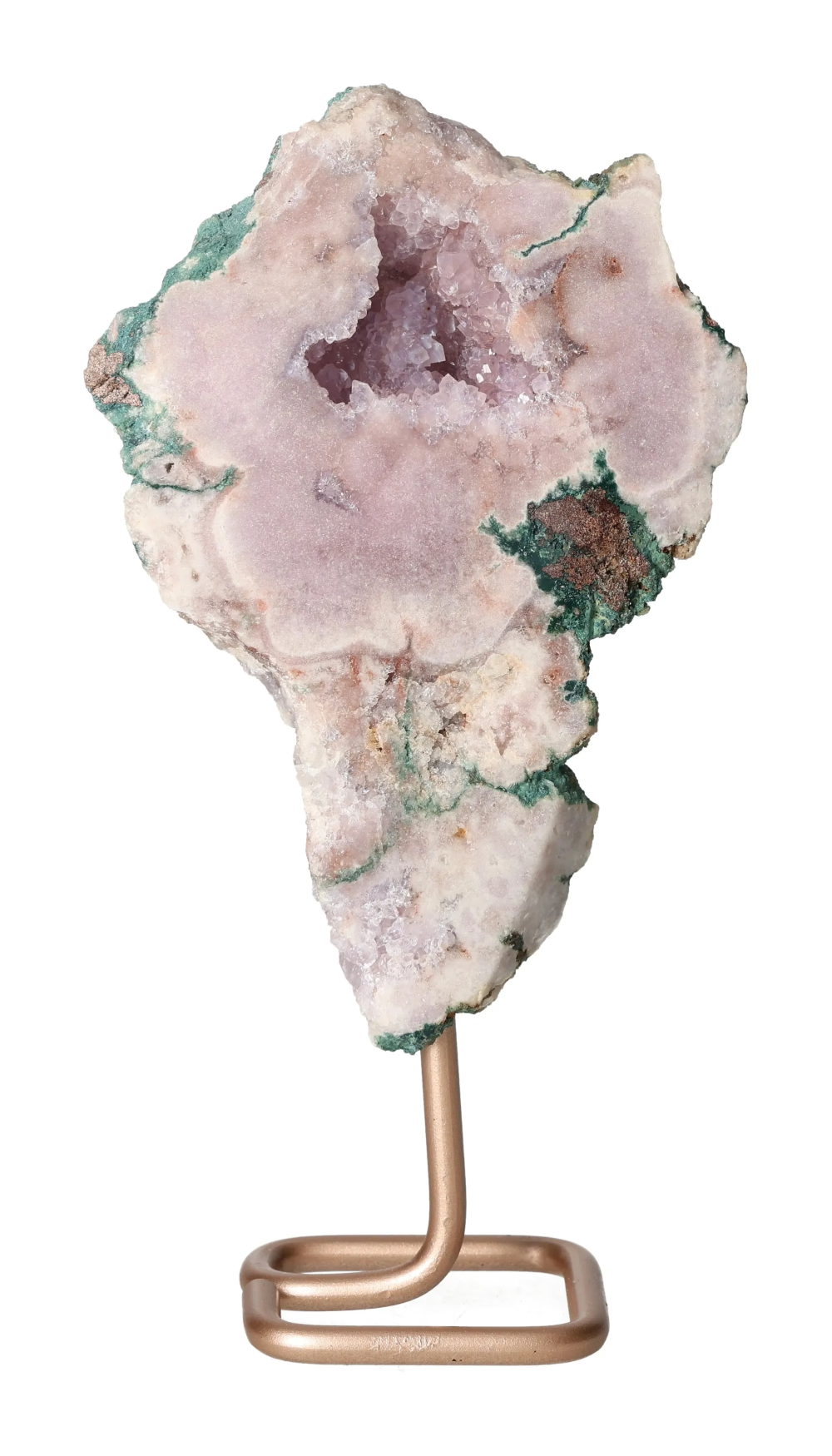 orbitvu|type:image2d