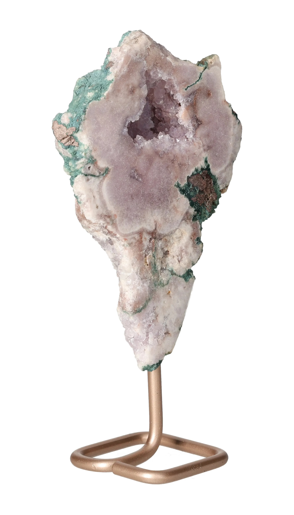 orbitvu|type:image2d