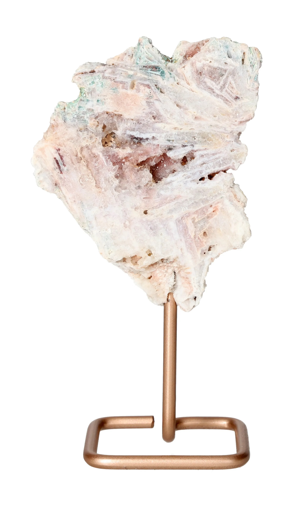 orbitvu|type:image2d