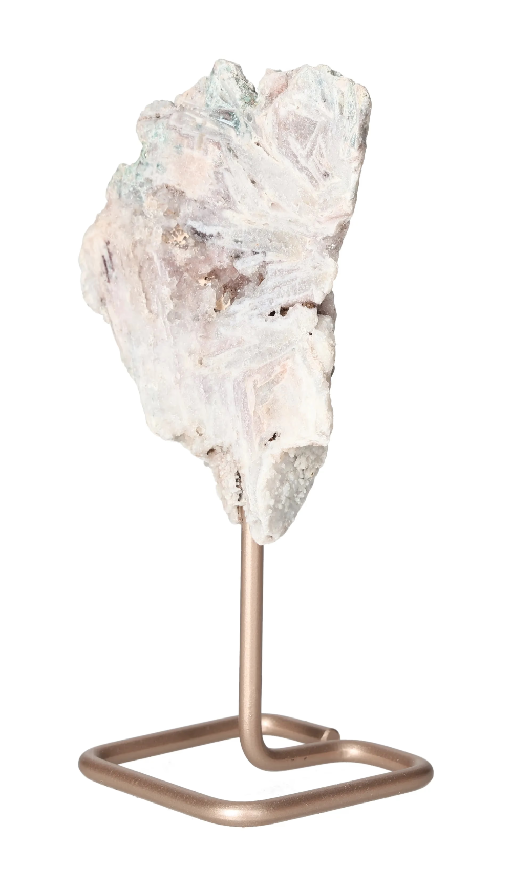 orbitvu|type:image2d