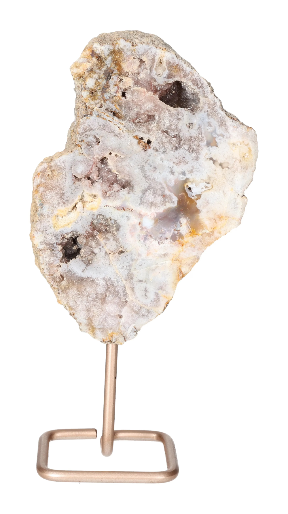 orbitvu|type:image2d