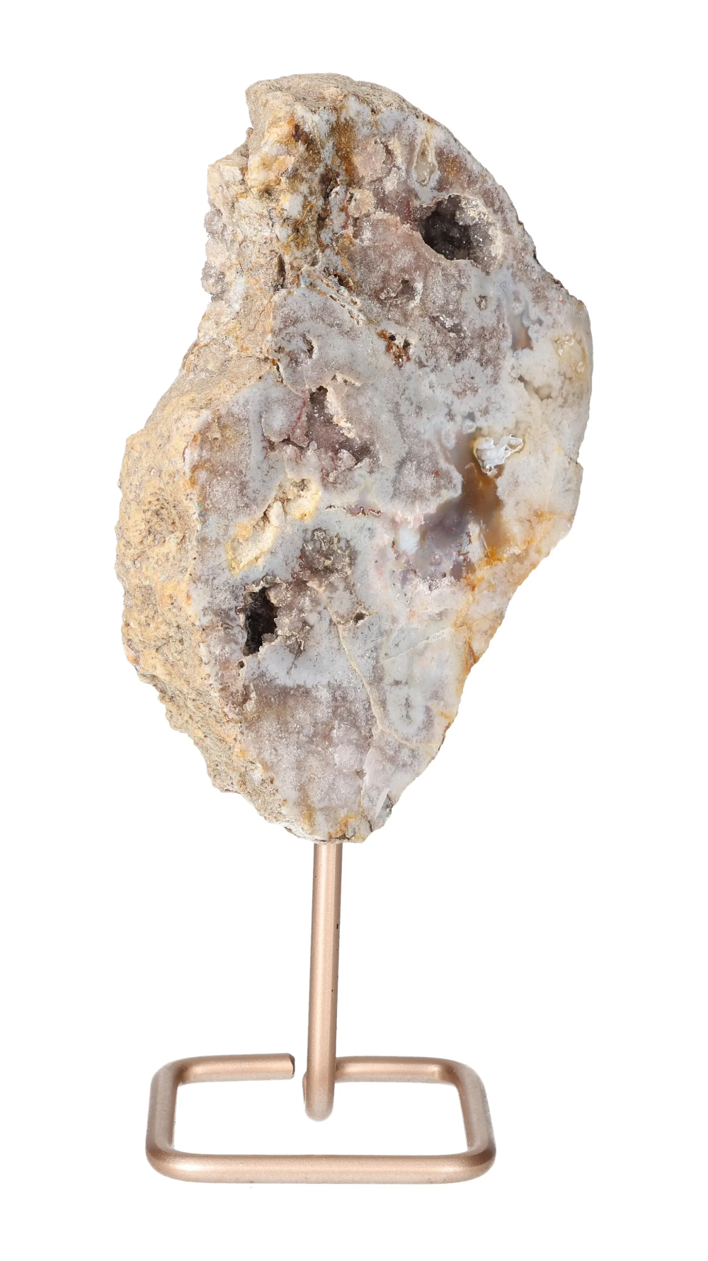 orbitvu|type:image2d