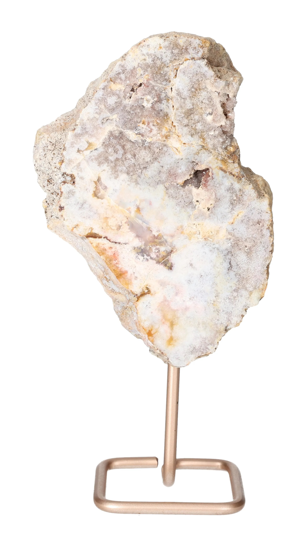 orbitvu|type:image2d