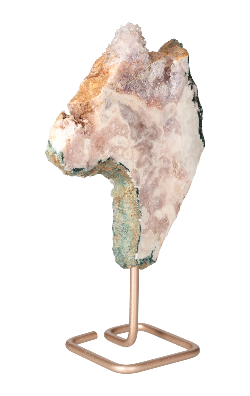 orbitvu|type:image2d