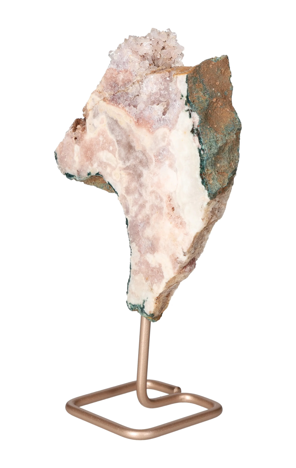 orbitvu|type:image2d