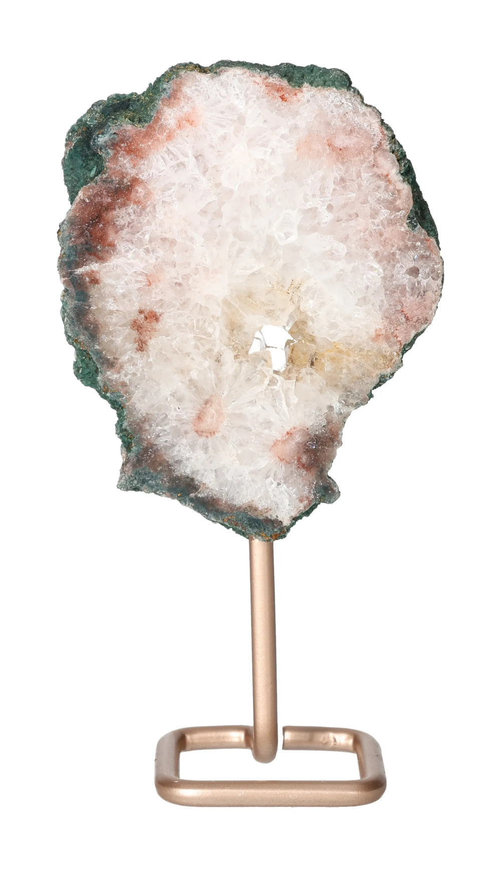 orbitvu|type:image2d