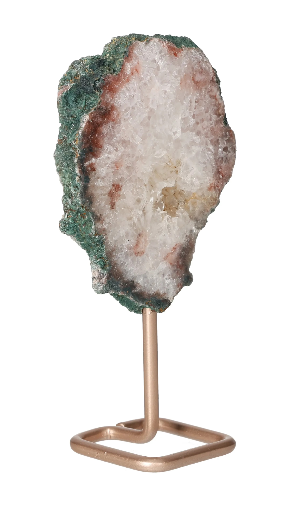 orbitvu|type:image2d