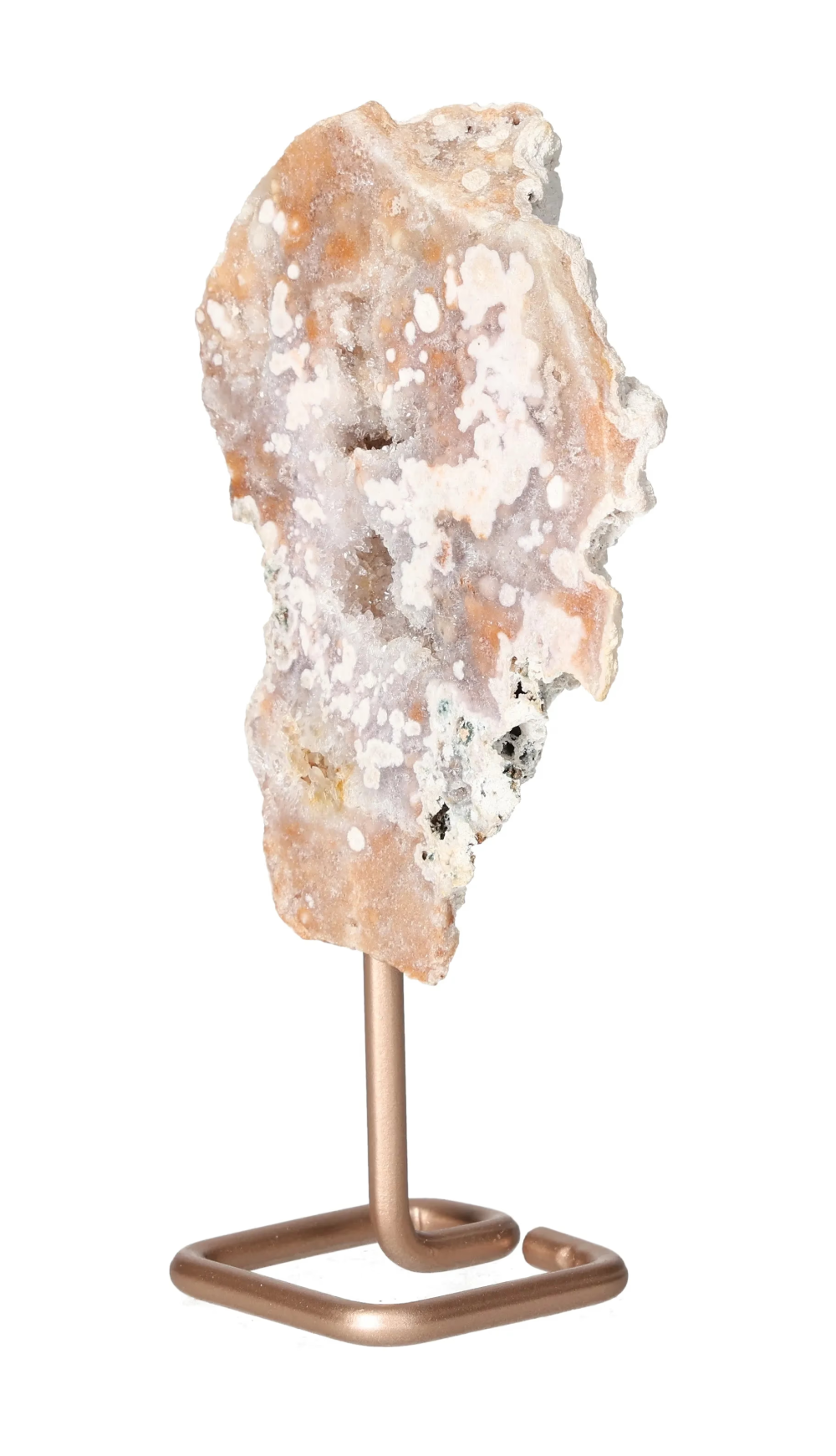 orbitvu|type:image2d