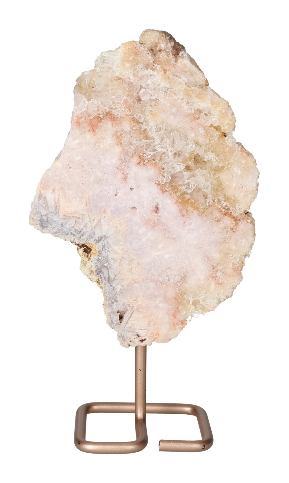 orbitvu|type:image2d