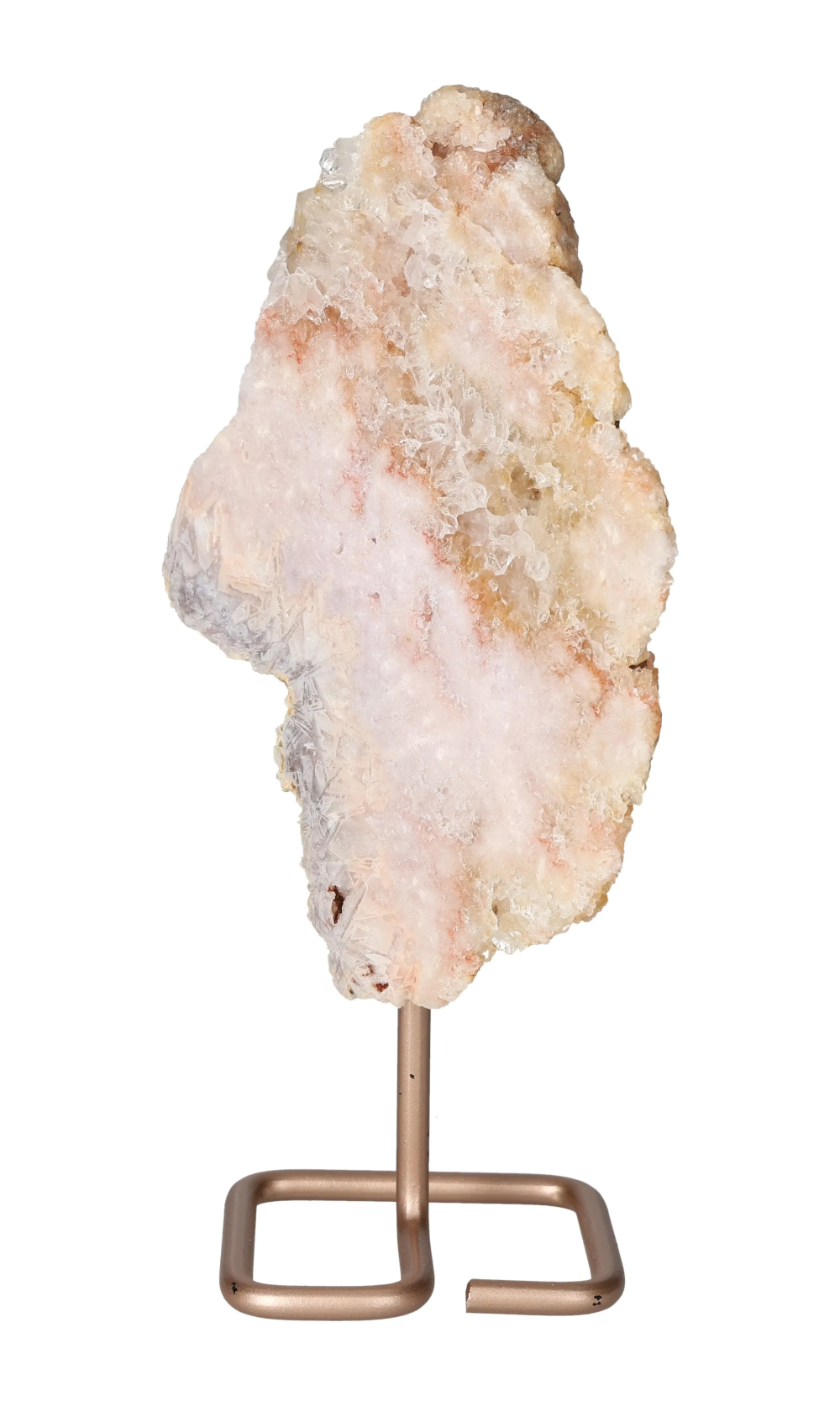 orbitvu|type:image2d