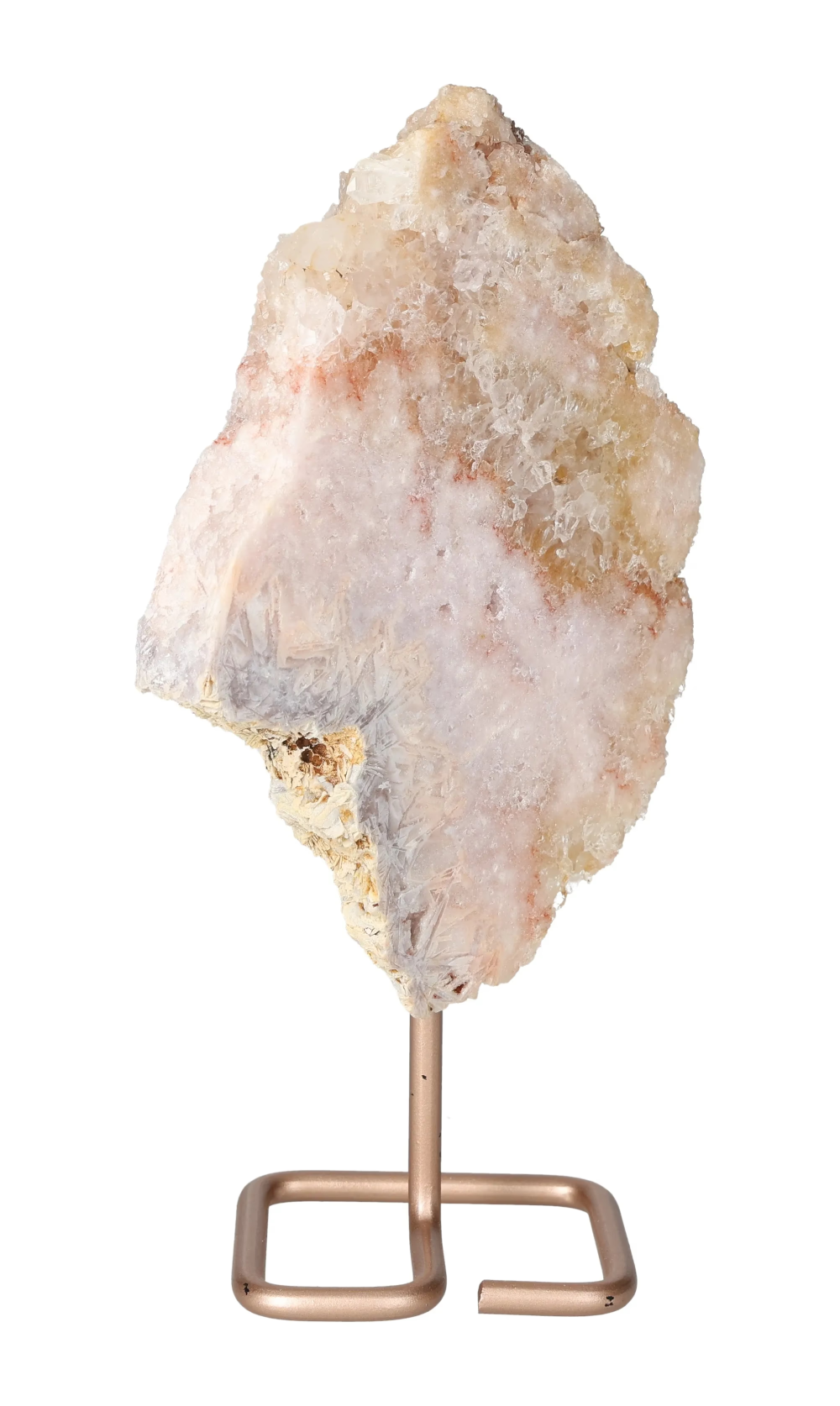 orbitvu|type:image2d