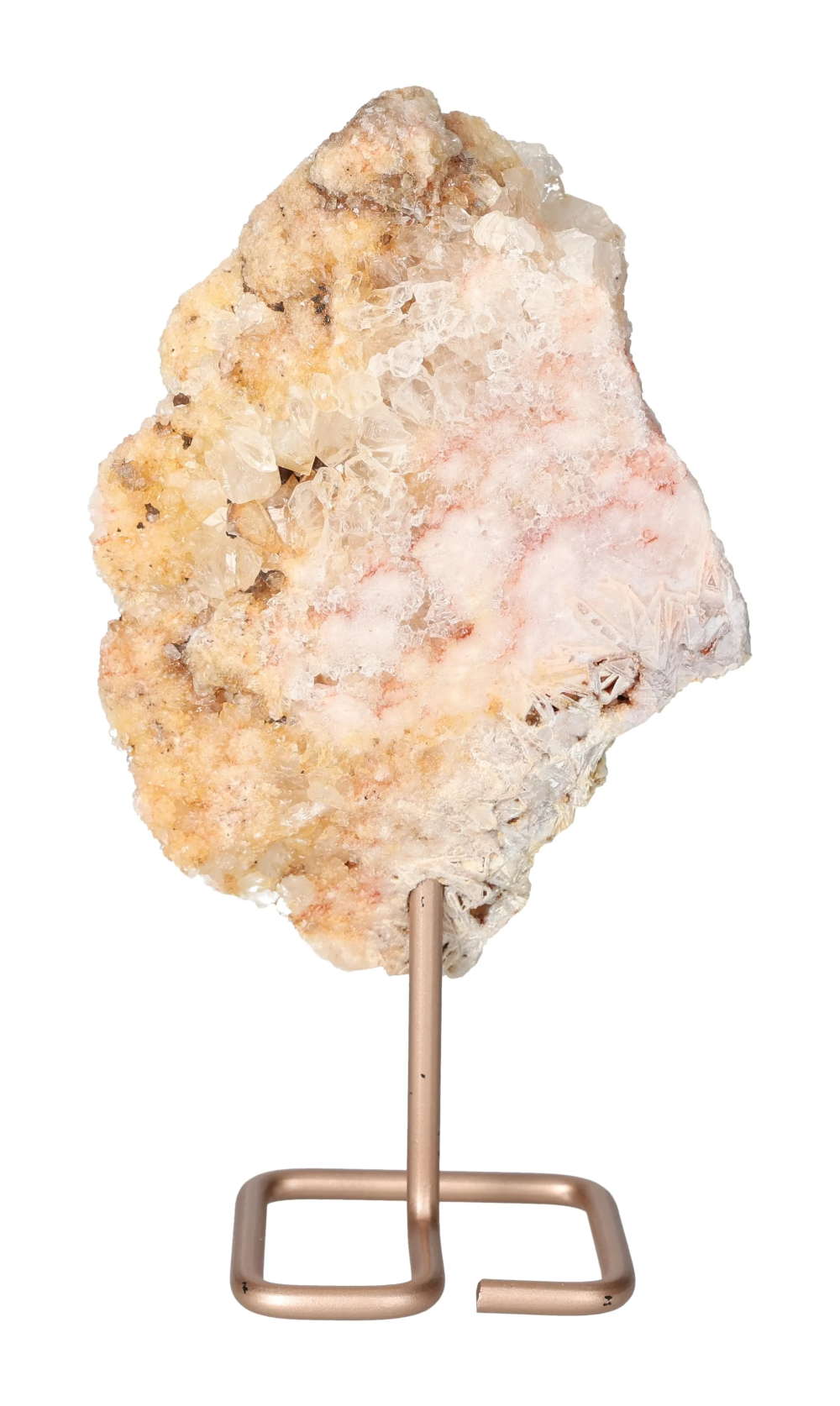 orbitvu|type:image2d