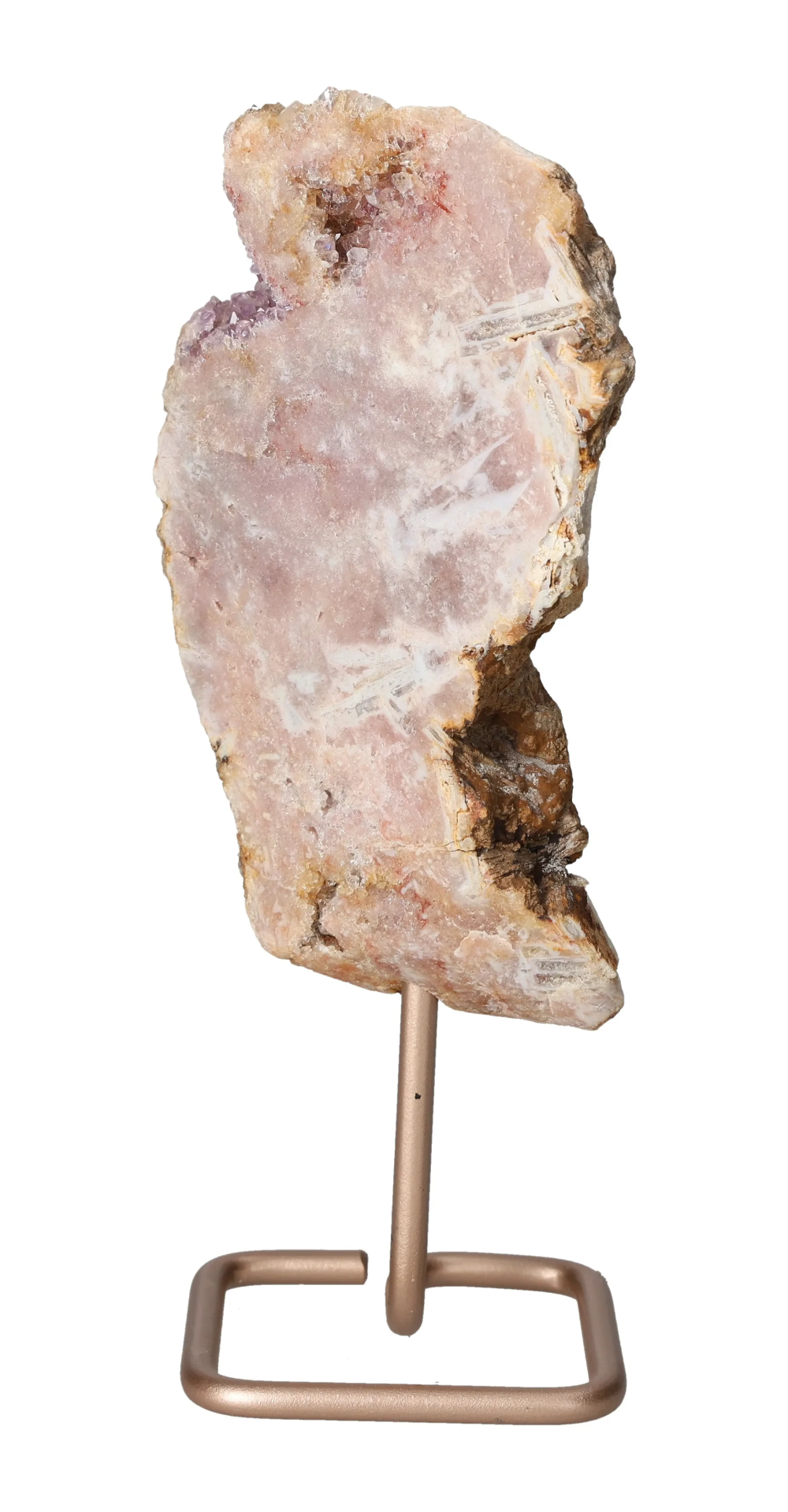 orbitvu|type:image2d