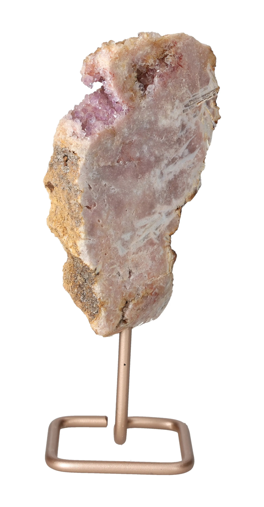 orbitvu|type:image2d