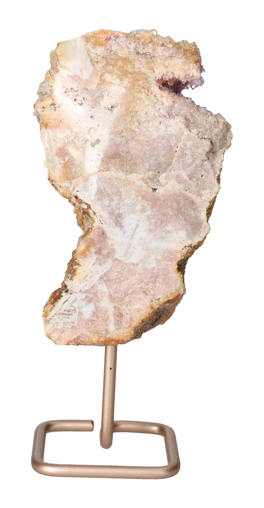 orbitvu|type:image2d