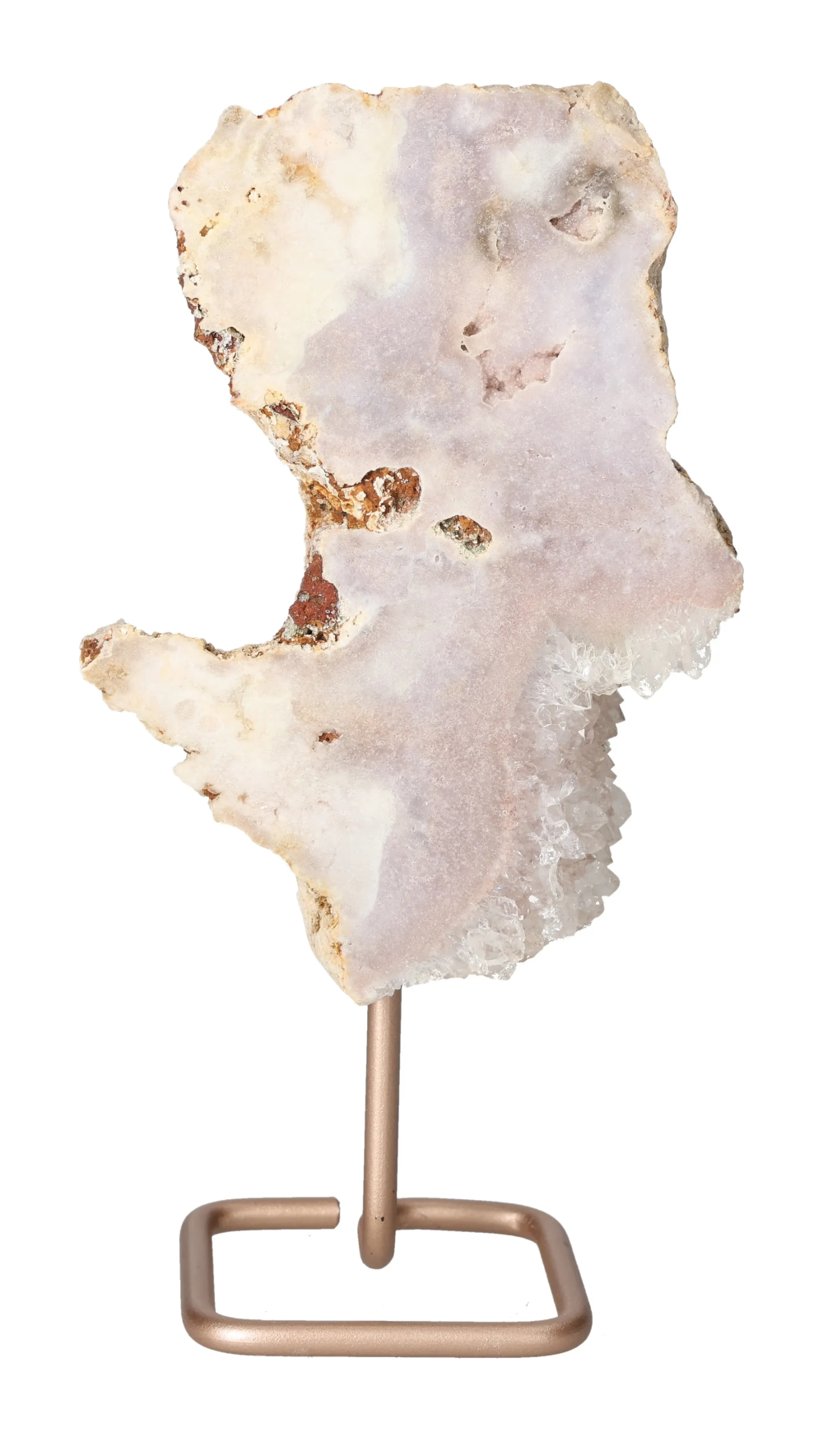 orbitvu|type:image2d