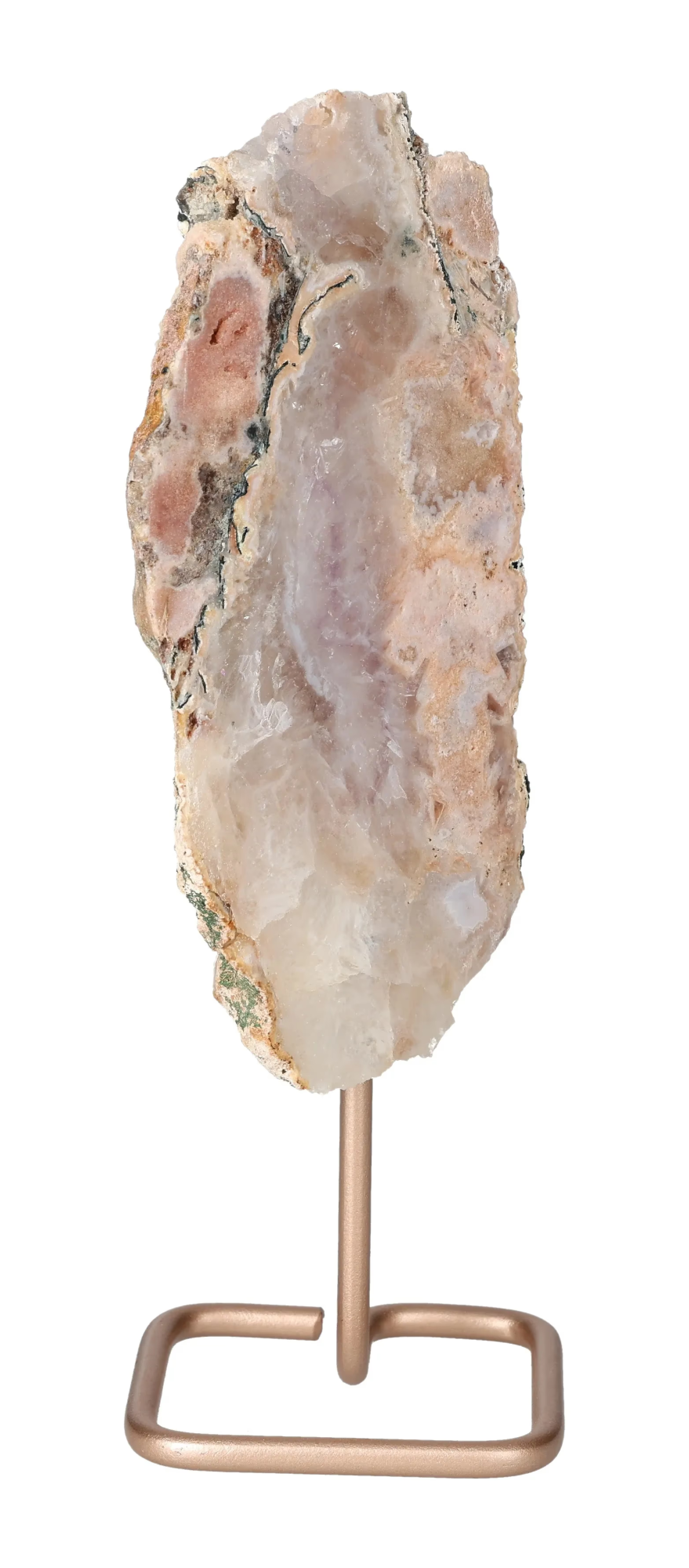 orbitvu|type:image2d