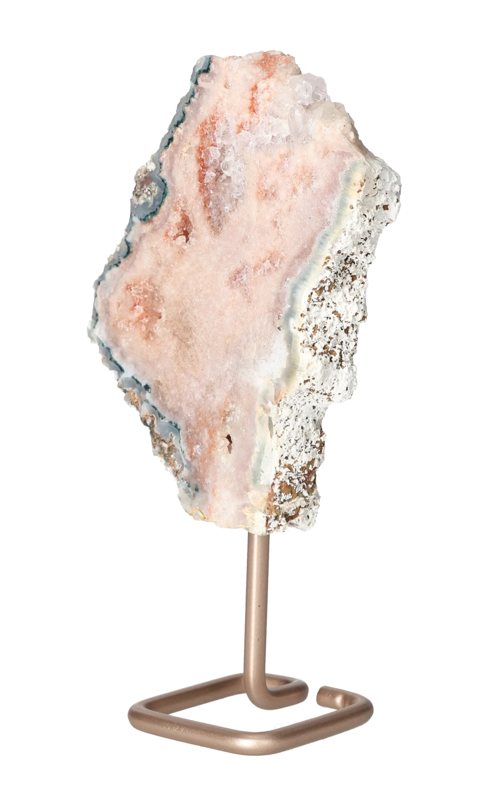 orbitvu|type:image2d