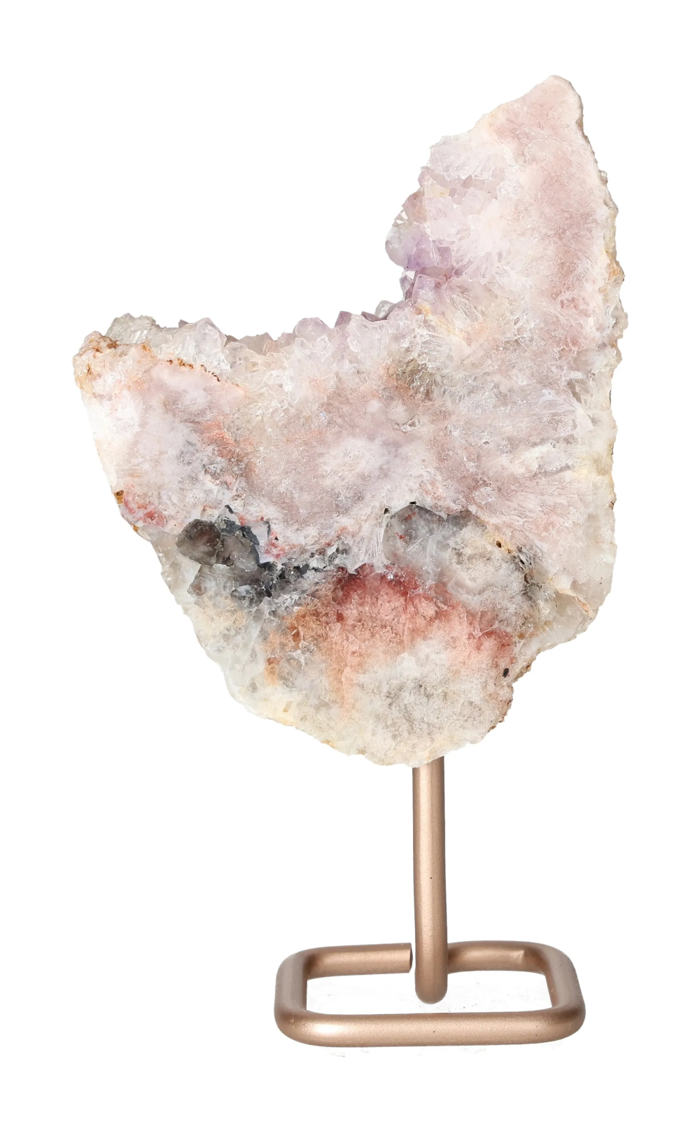 orbitvu|type:image2d