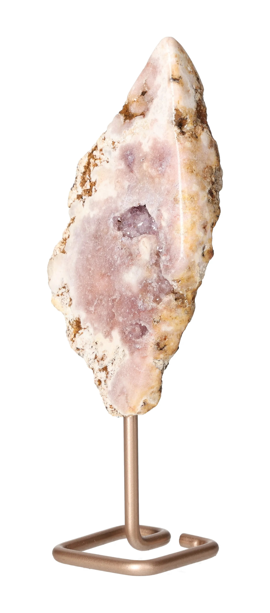 orbitvu|type:image2d