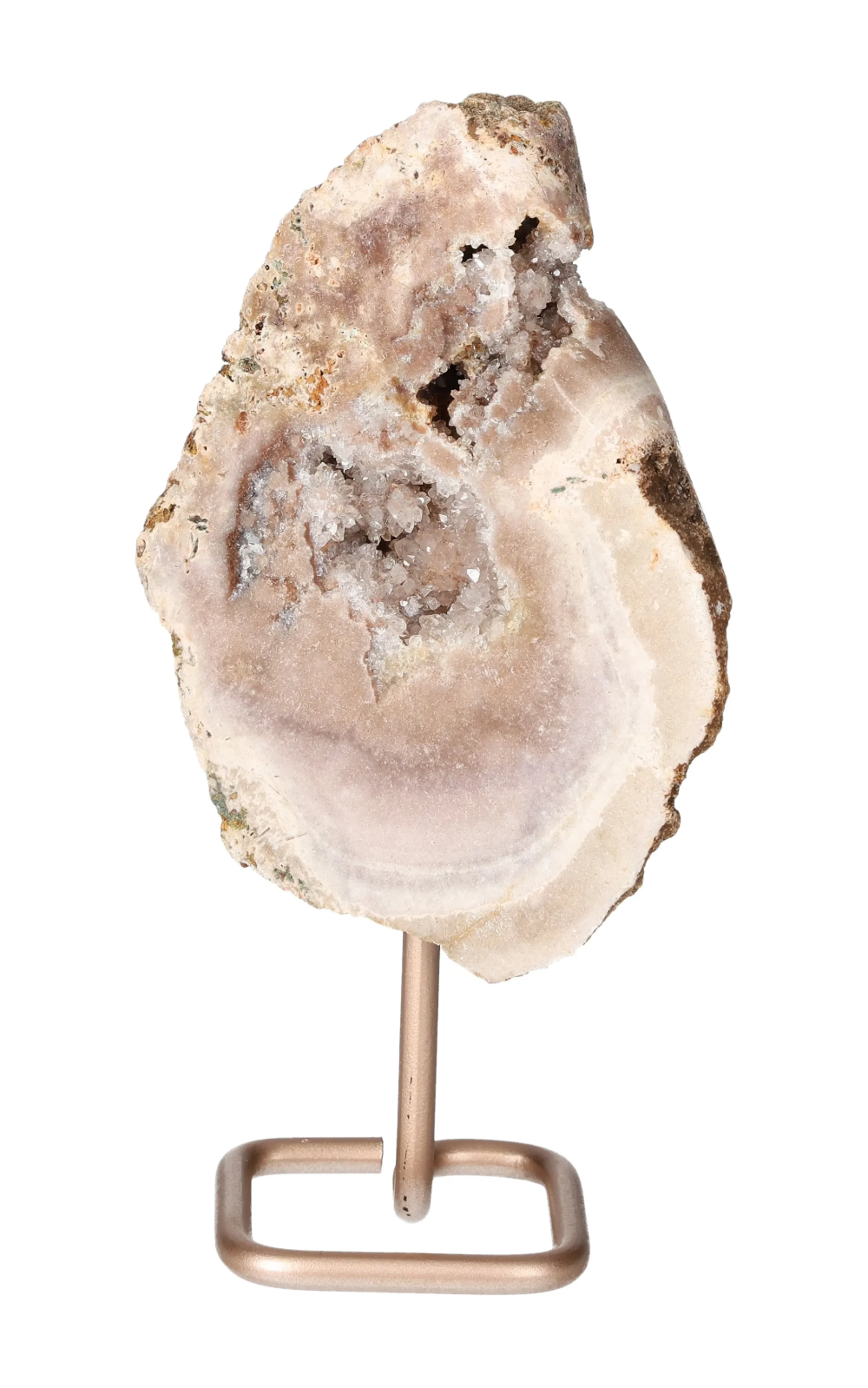 orbitvu|type:image2d