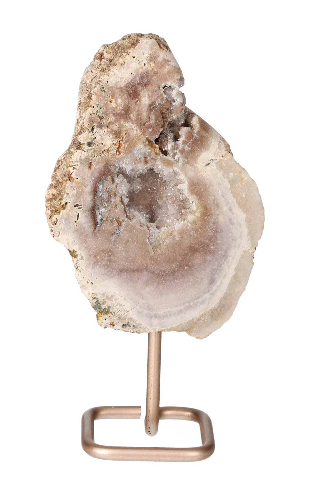 orbitvu|type:image2d