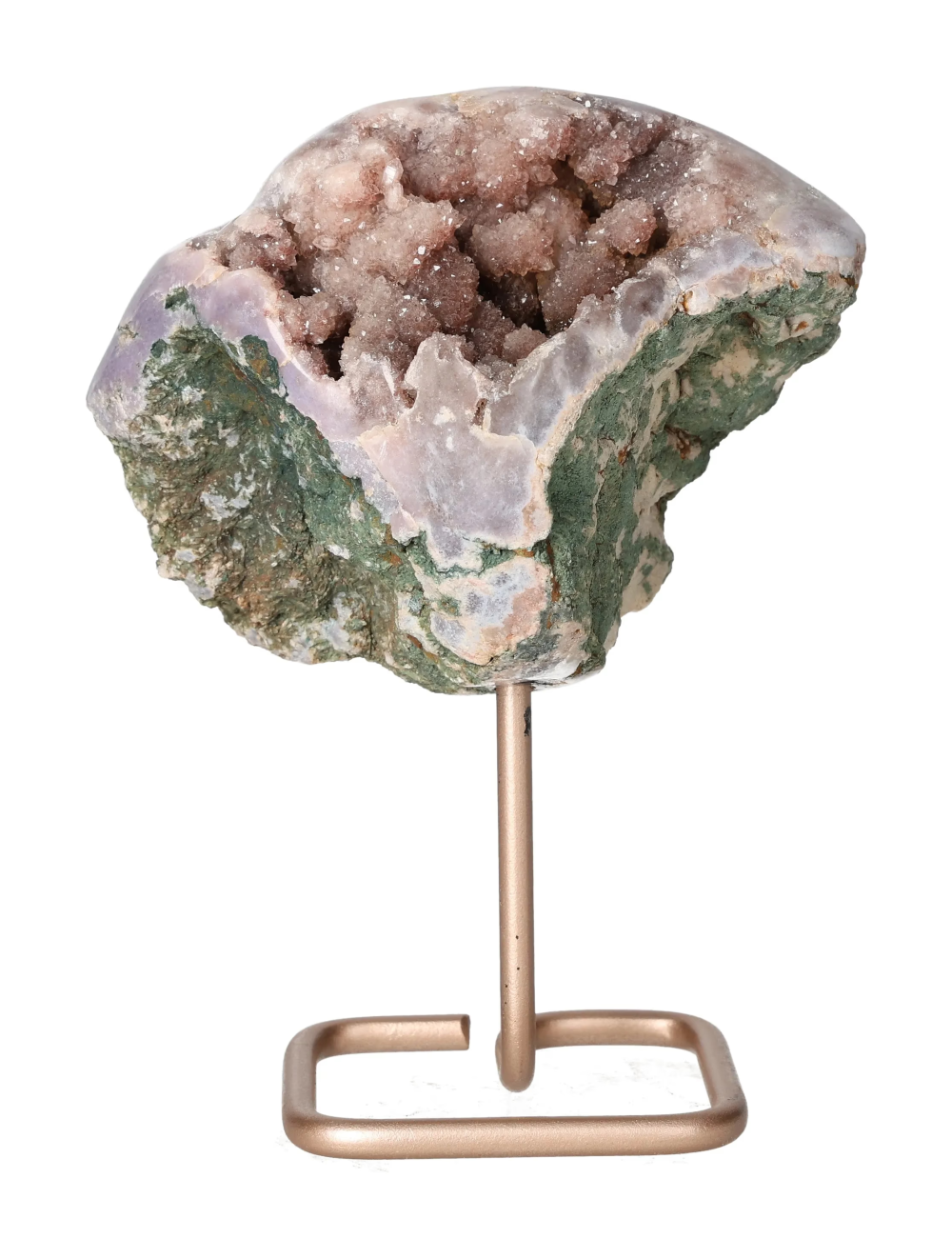 orbitvu|type:image2d