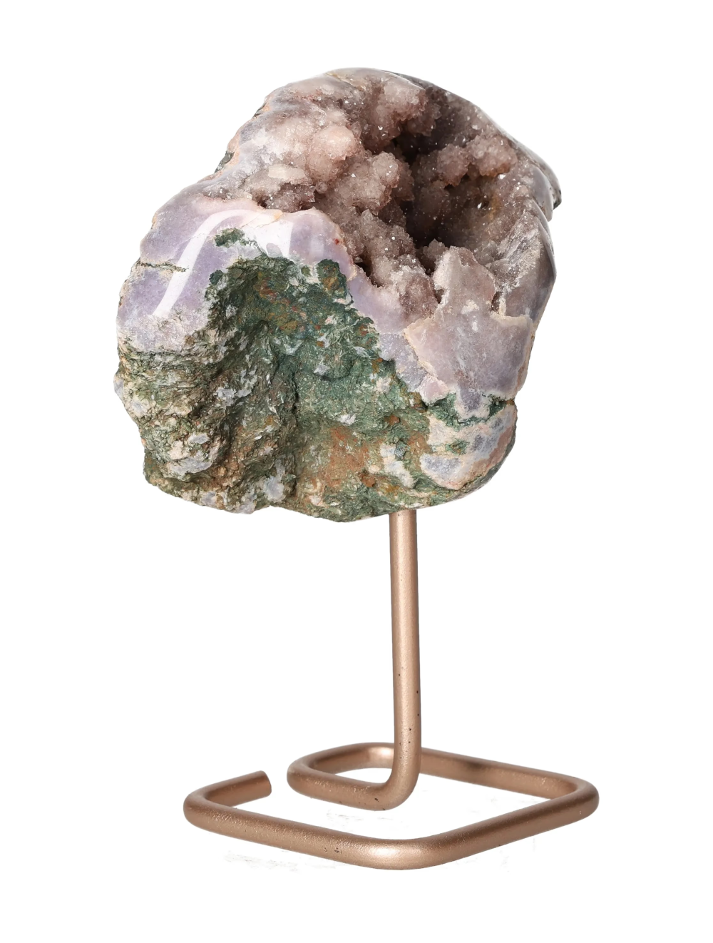 orbitvu|type:image2d