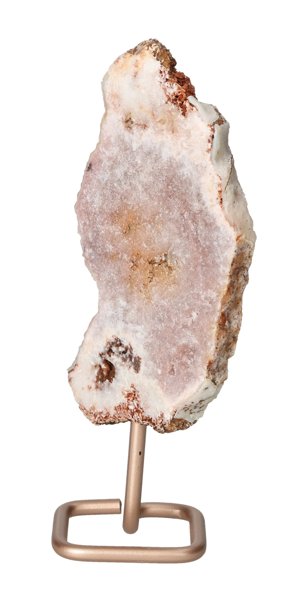 orbitvu|type:image2d