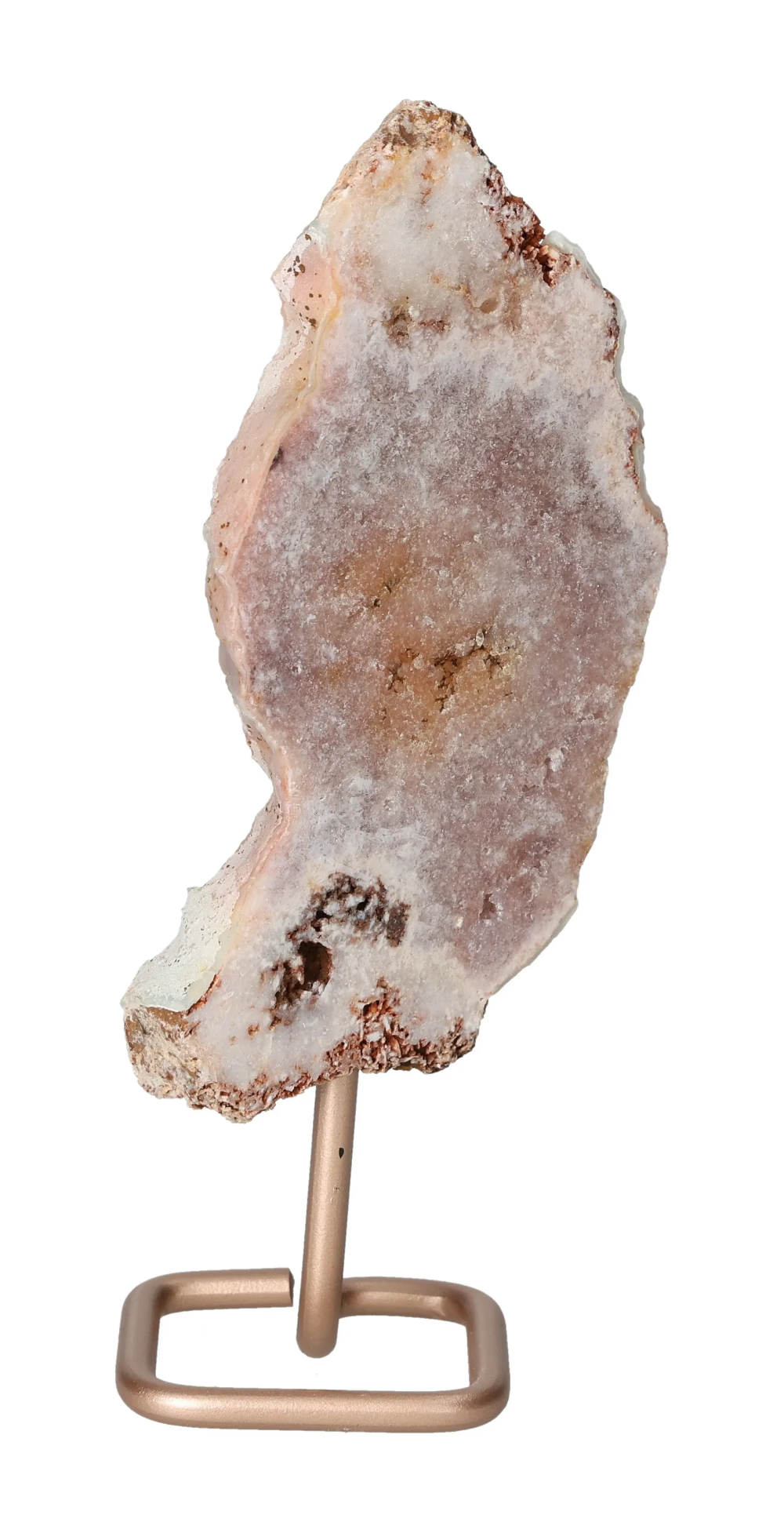 orbitvu|type:image2d