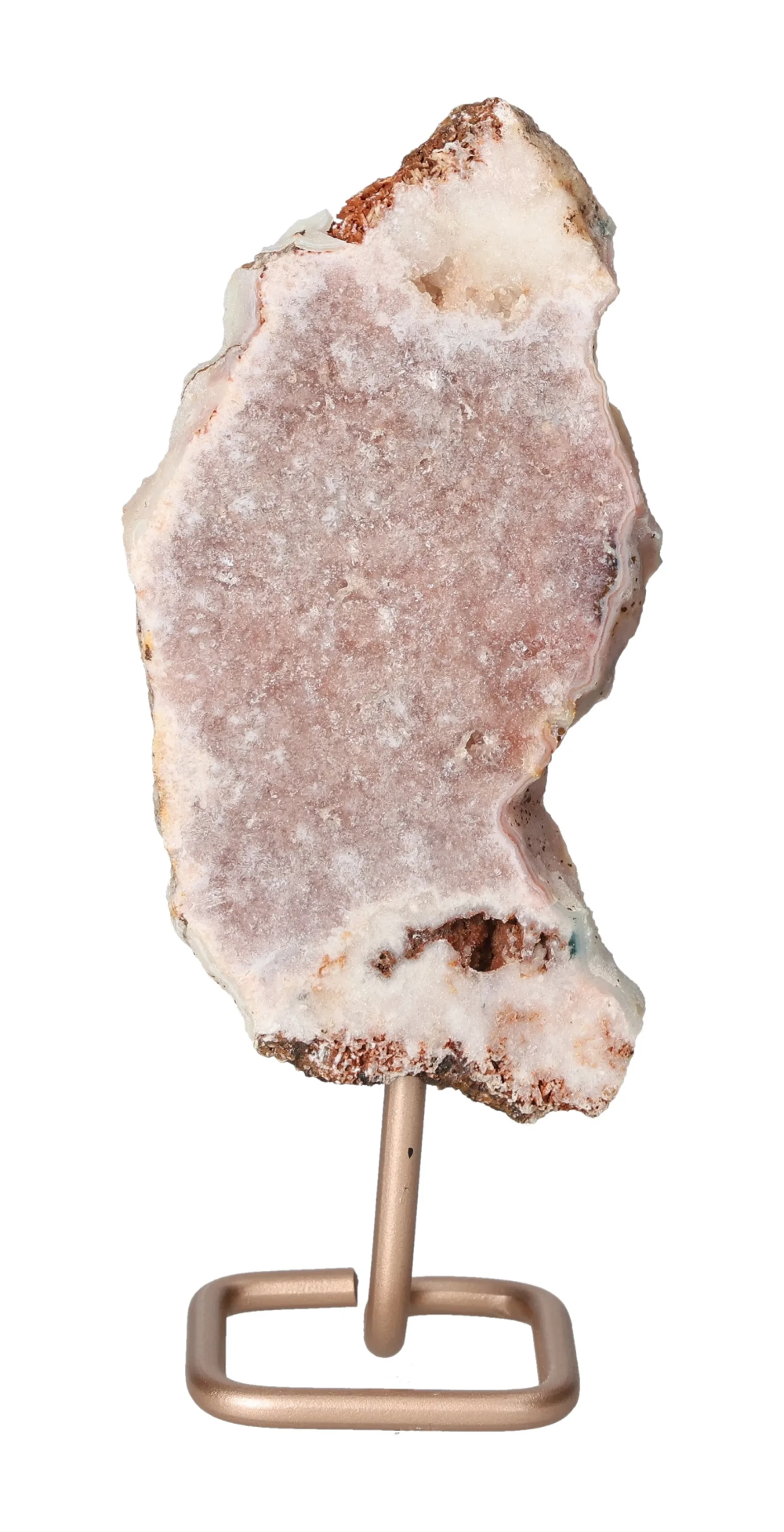 orbitvu|type:image2d