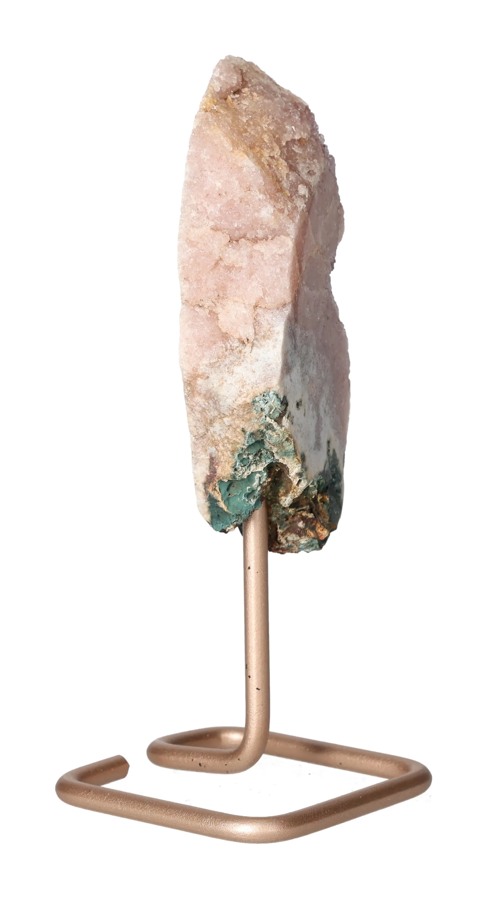 orbitvu|type:image2d