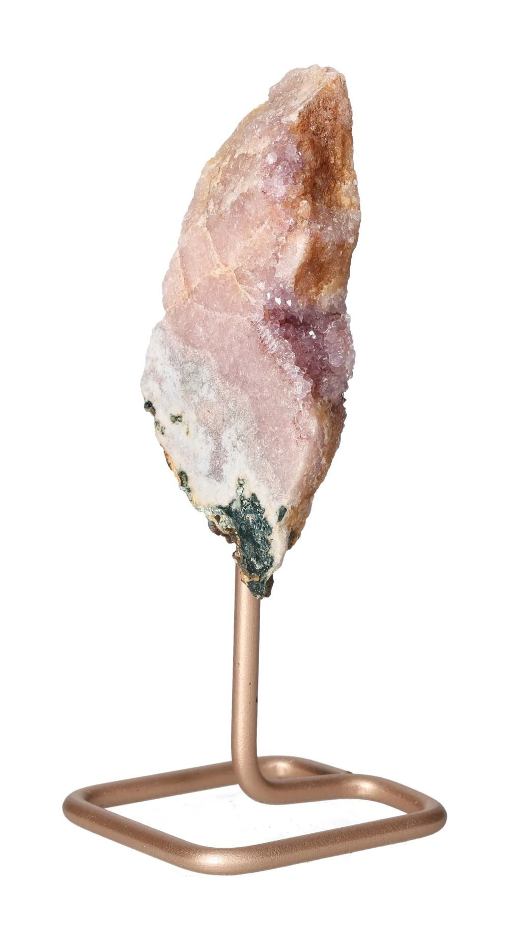 orbitvu|type:image2d