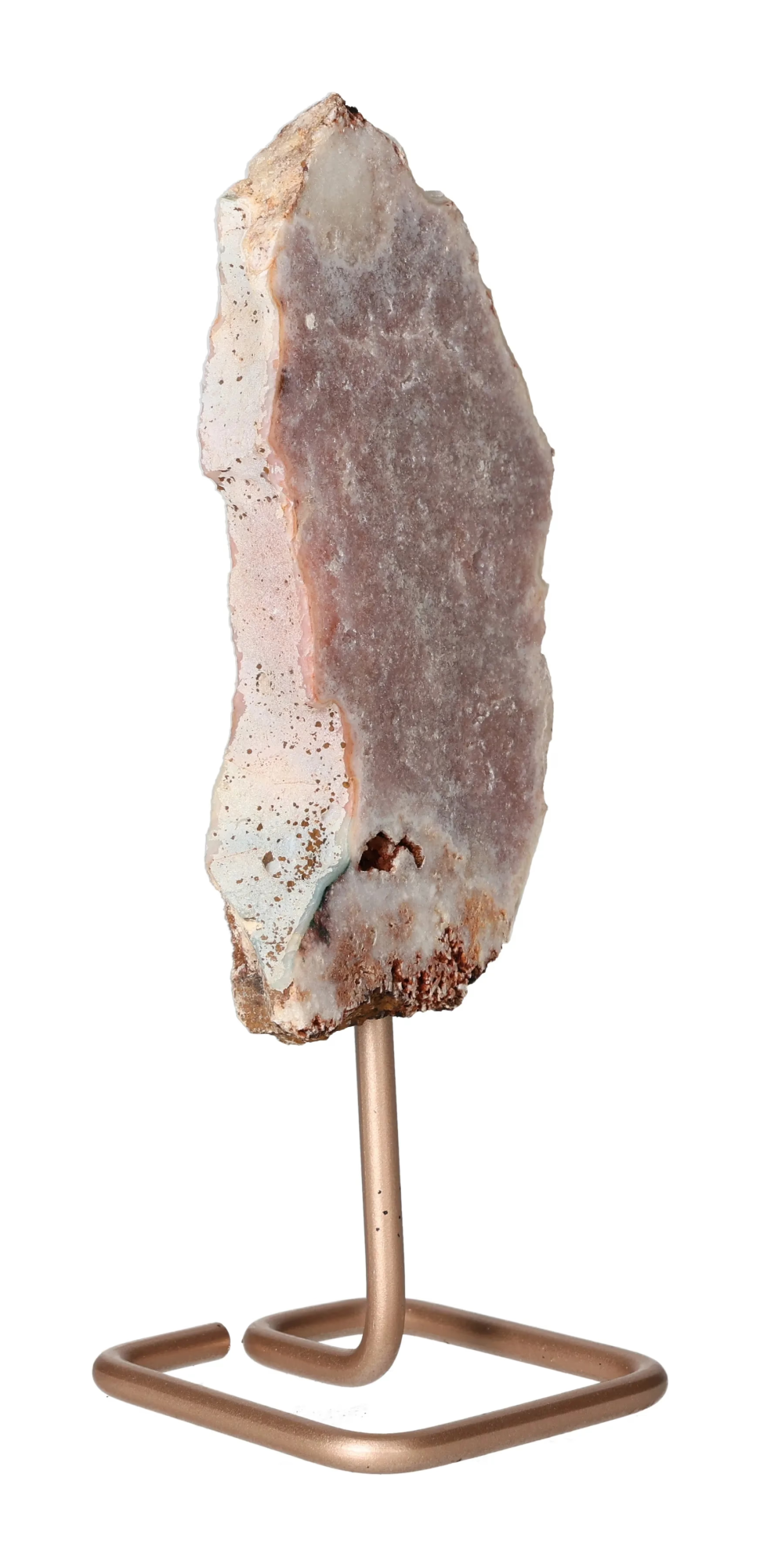 orbitvu|type:image2d