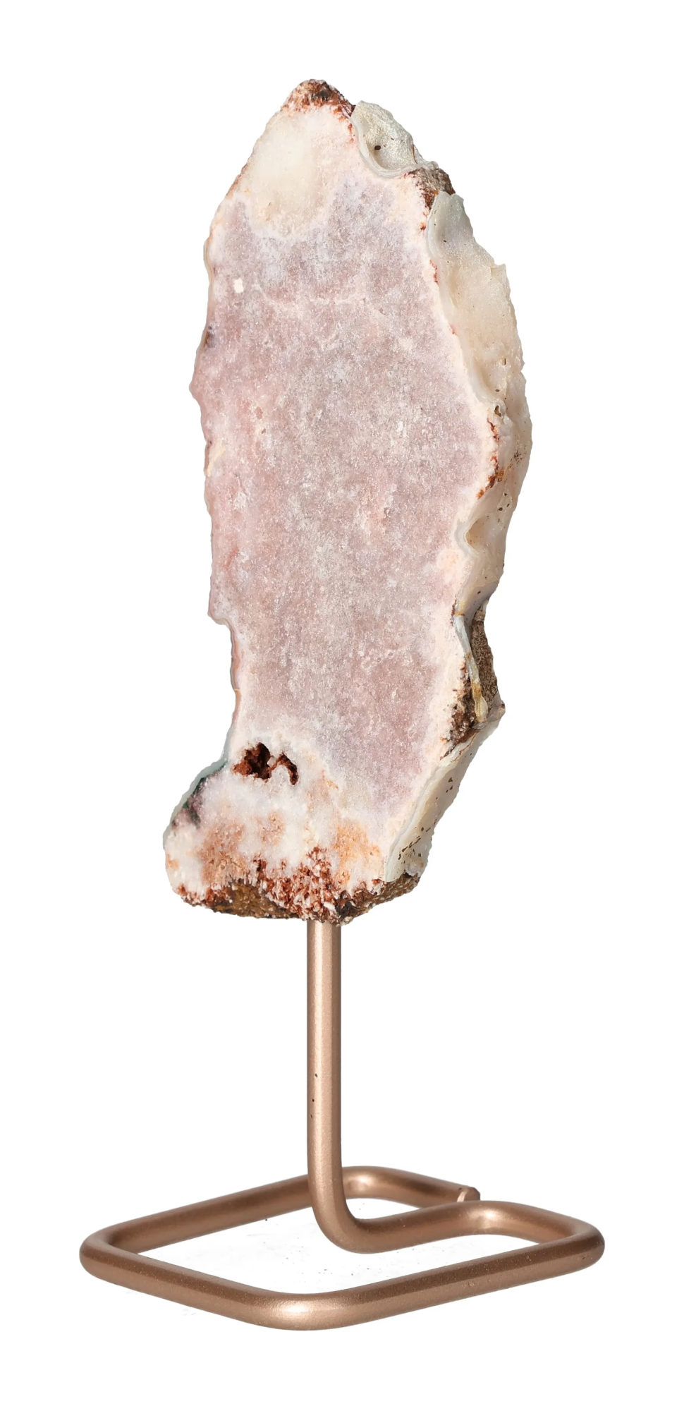 orbitvu|type:image2d