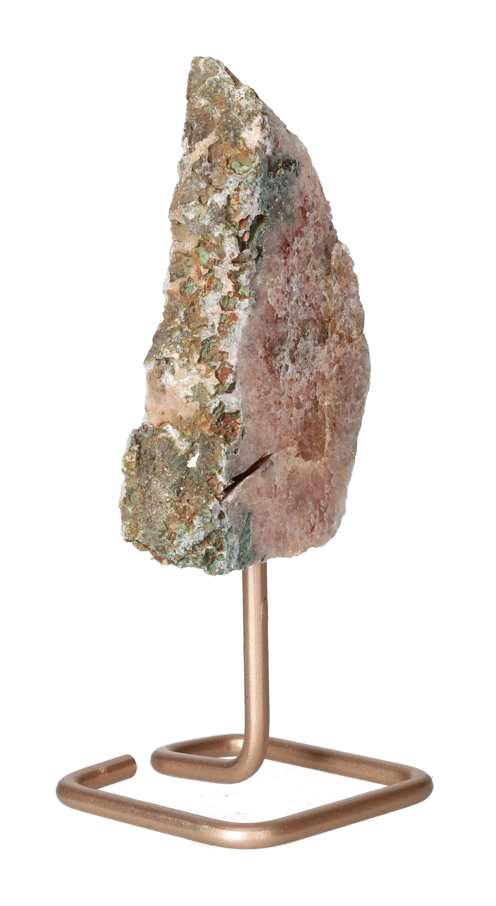 orbitvu|type:image2d